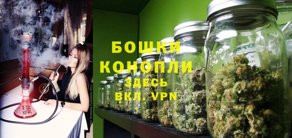 гидра Володарск