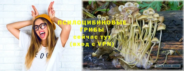 соль ск Алзамай