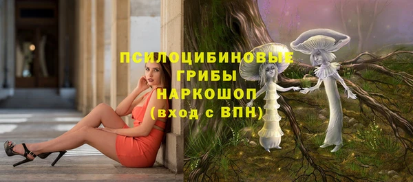 соль ск Алзамай