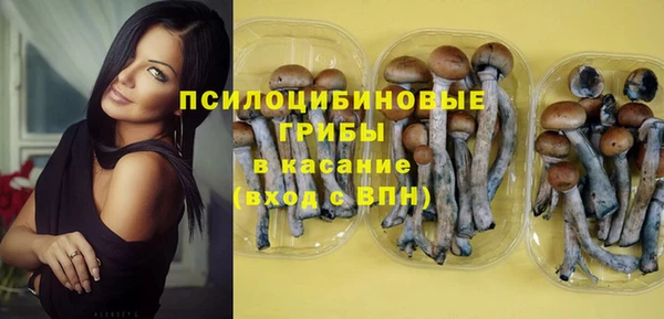 соль ск Алзамай