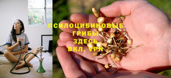 соль ск Алзамай